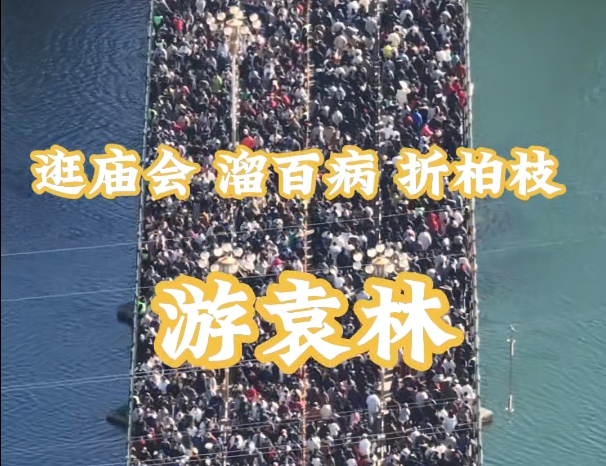 袁林庙会