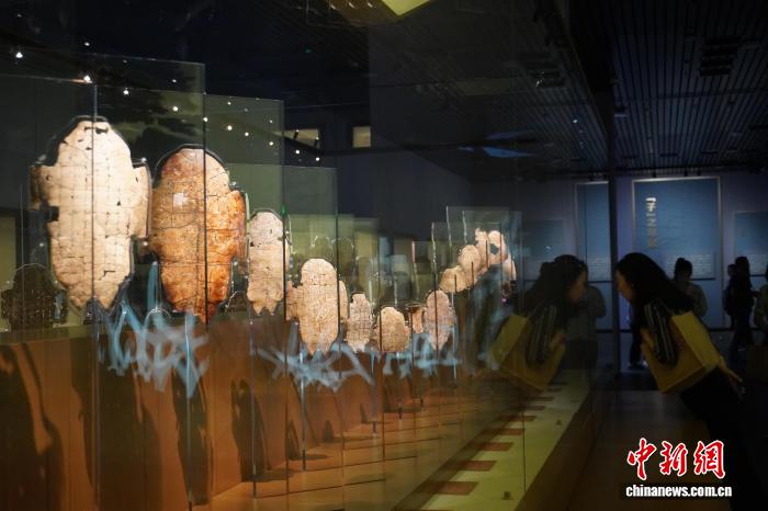 从殷墟到三星堆，文化遗产研学何以让历史“说话”？